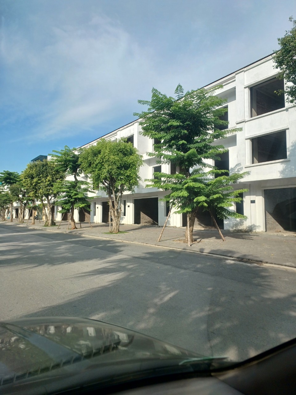 Cây Sưa Trắng